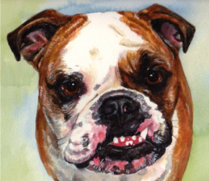 English Bulldog Watercolor Carol Wells