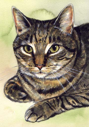 Mackerel Tabby Cat Watercolor Carol Wells
