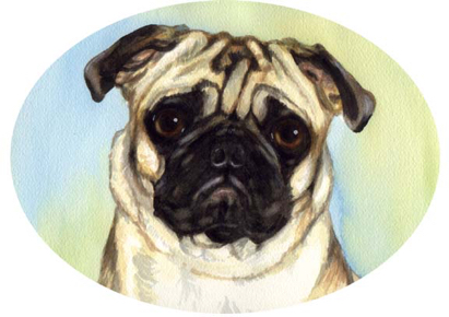 Pug Dog Watercolor Pet Portrait Carol Wells