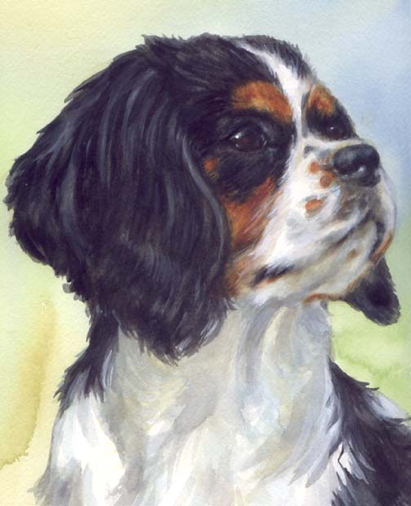Cavalier King Charles Spaniel Dog Watercolor Carol Wells