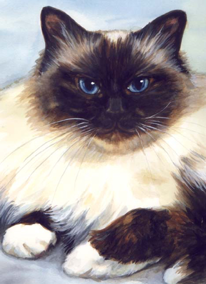 Himalayan Cat Watercolor Carol Wells