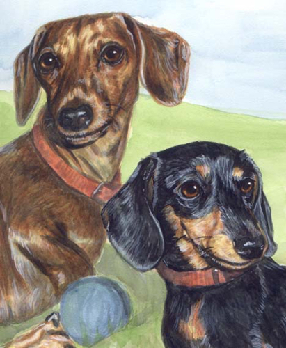 Dachshund Dogs Watercolor Pet Portrait Carol Wells